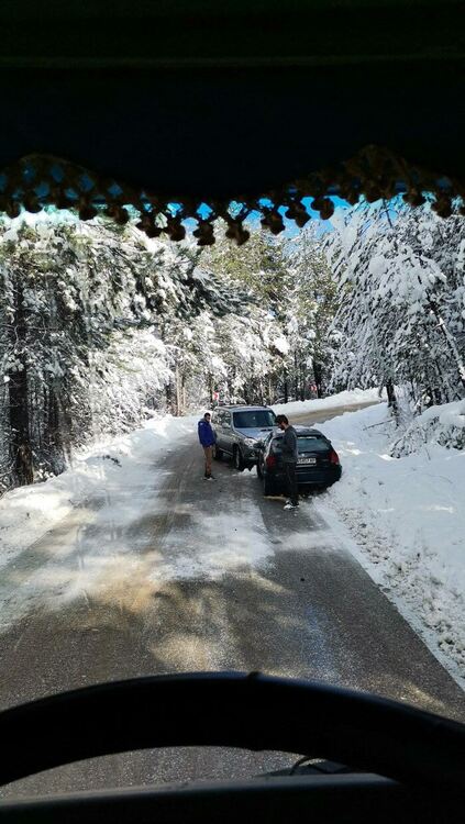 снимка:Слави Славов