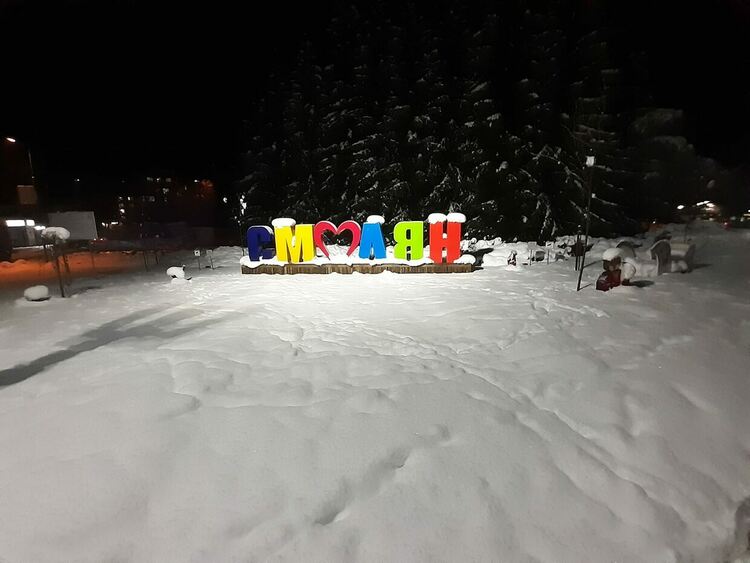 снимка:Десислава Балевска