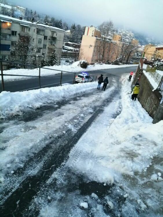 снимка: Алексендър Димитров
