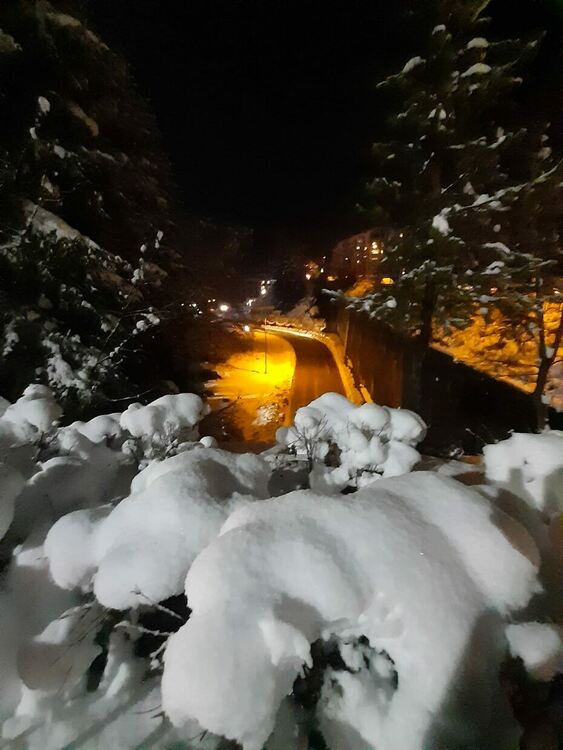 снимка: Десислава Балевска