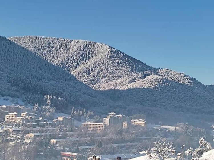 снимка: Румяна Белчева