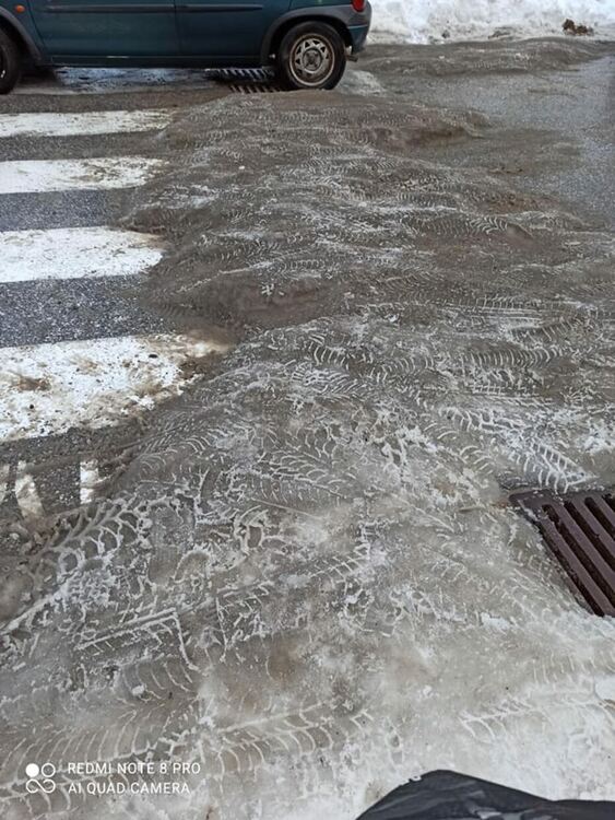 снимка :Анета Шаркова