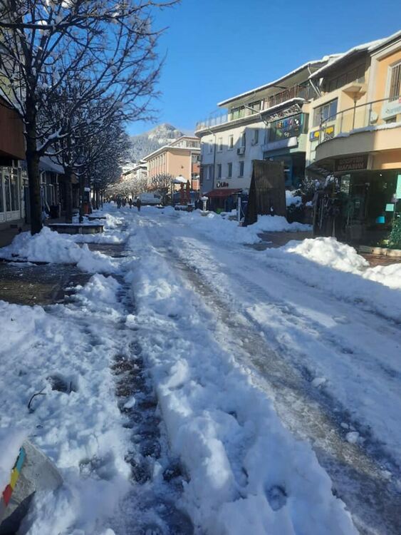 снимка: Илиана Борисова