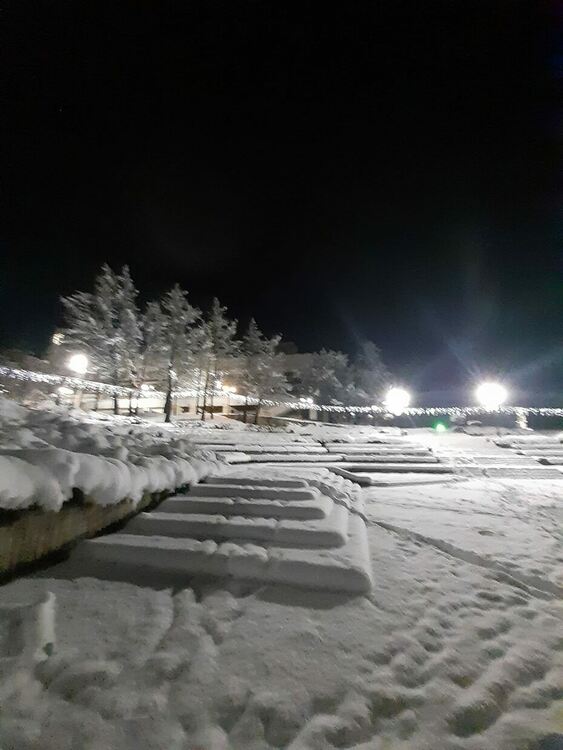 снимка: Десислава Балевска