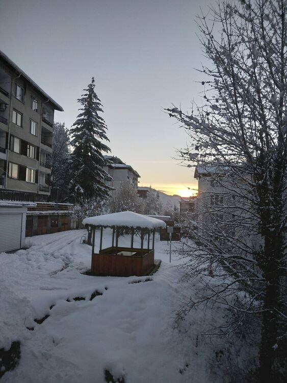 снимка: Велечка Ангелова