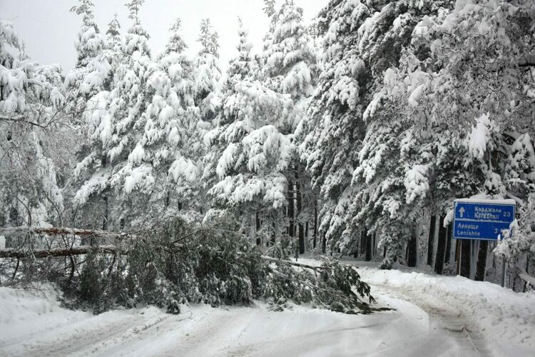 Предимно облачно, валежи в Източна България