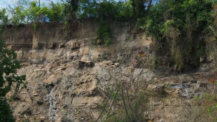 Снимката е илюстративнаСнимка: БГНЕС