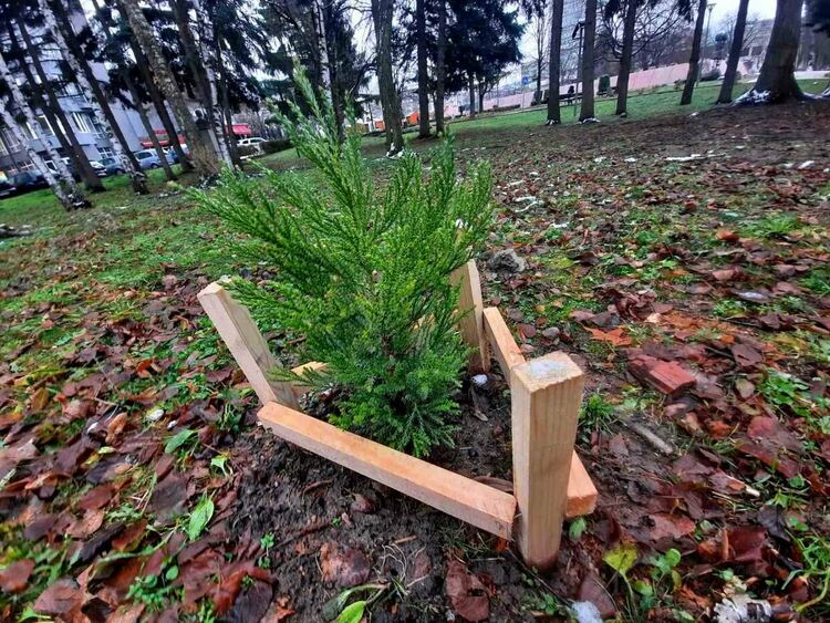 Перник става по-зелен