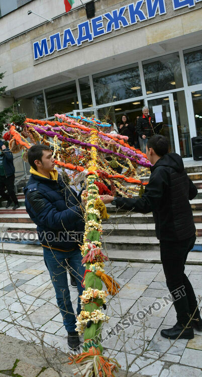 Голямата сурвачка украси Младежкия преди старта на Фестивал на коледната и Новогодишна песен