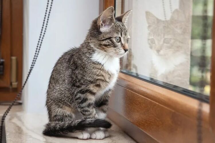  Днес настъпва астрономическата зима със слънчево време в Хасковска област