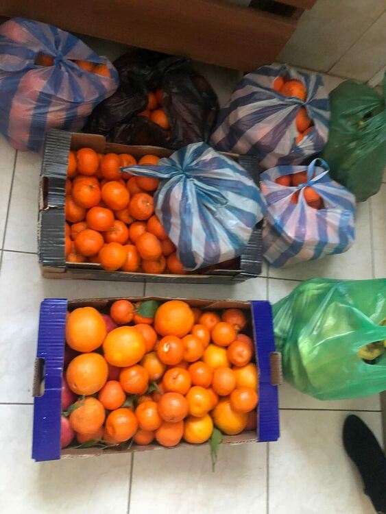 Живеещите в Дома за стари хора във Фатово бяха зарадвани в навечерието на празниците