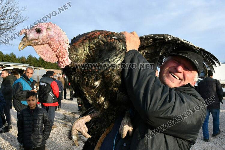 Пуйките за Коледа по 7-8 лв. за килограм в Хасково