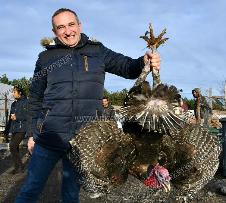 Пуйките за Коледа по 7-8 лв. за килограм в Хасково