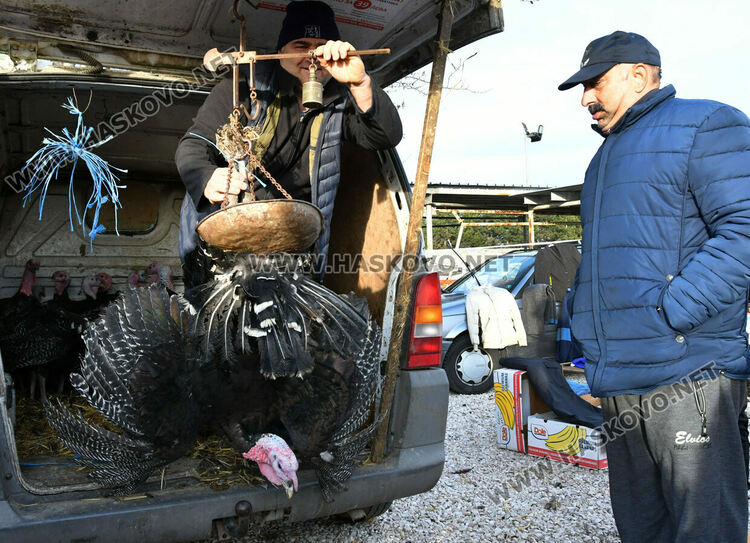 Пуйките за Коледа по 7-8 лв. за килограм в Хасково