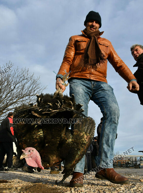 Пуйките за Коледа по 7-8 лв. за килограм в Хасково