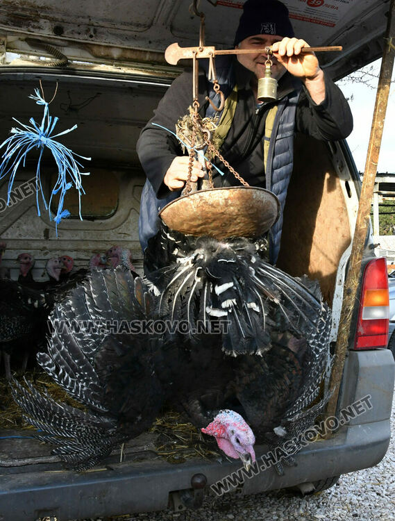 Пуйките за Коледа по 7-8 лв. за килограм в Хасково