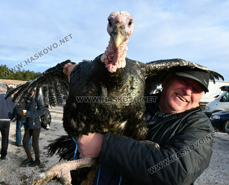 Пуйките за Коледа по 7-8 лв. за килограм в Хасково