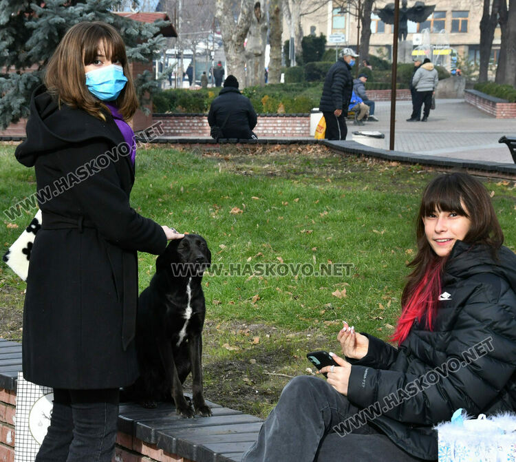Оживление на базара в центъра на Хасково във втория ден на Коледа