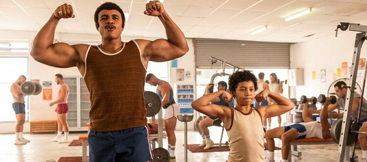 Акценти по FOX през януари