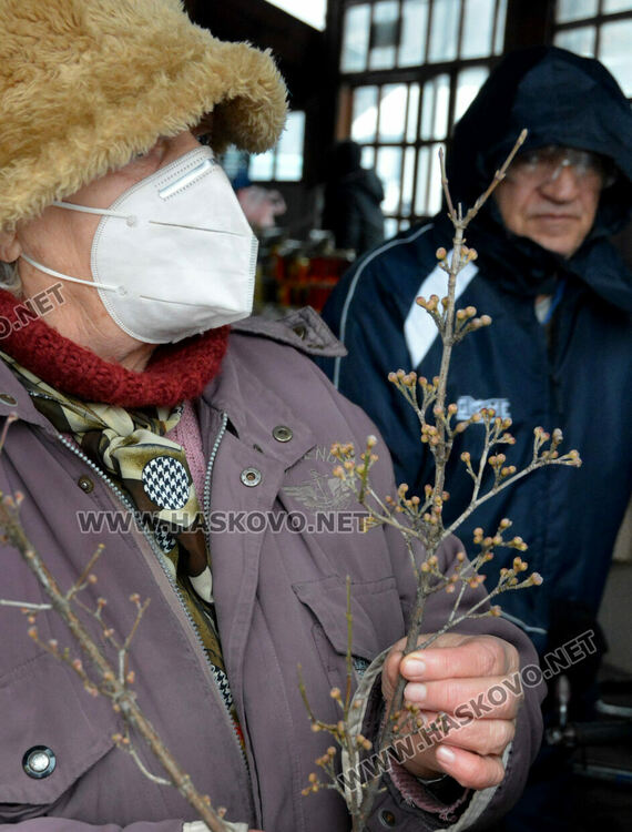 За новогодишната трапеза на пазара: от дрян до ягоди