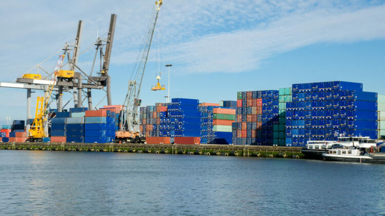 Хванаха над 1,6 т кокаин в пристанището на Ротердам