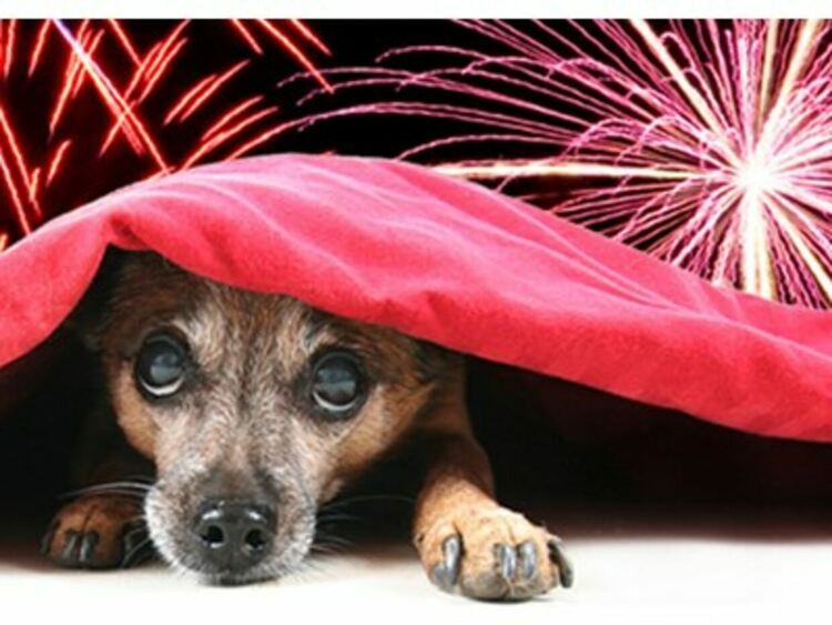 И Смолян без заря и програма в новогодишната нощ