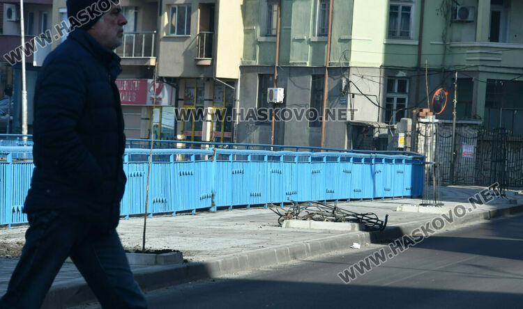 Кола изрина две от тополовите фиданки, вече засадиха нови