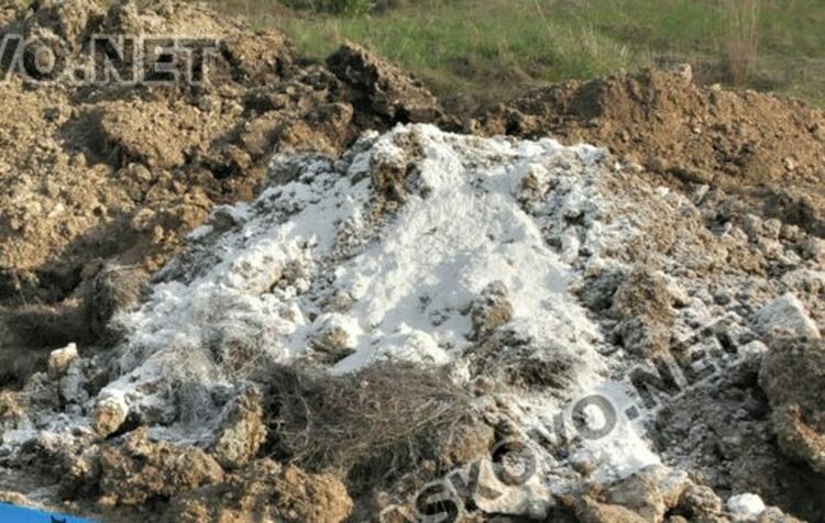 40 хил. кокошки-носачки от огнището на птичи грип в Криво поле ще бъдат унищожени