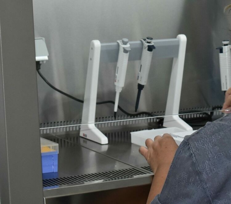 14 са починалите с COVID-19 за последното денонощие в област Пловдив