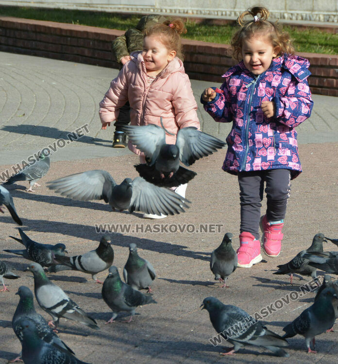 Топло на Богоявление, захлаждане от петък
