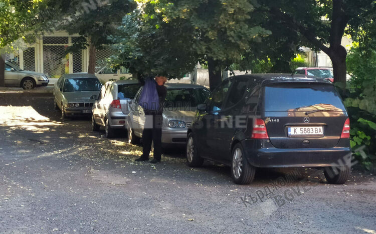 Отчитат липовия цвят, събиран по улиците на Кърджали до 20 януари