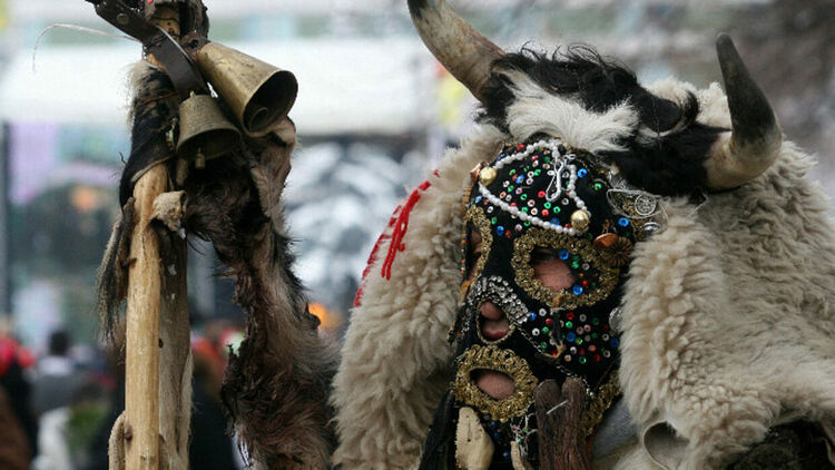 Пернишката "Сурва" се мести в София