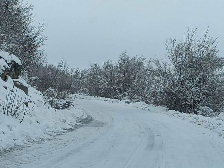 Основните пътни артерии на територията на община Асеновград са проходими 