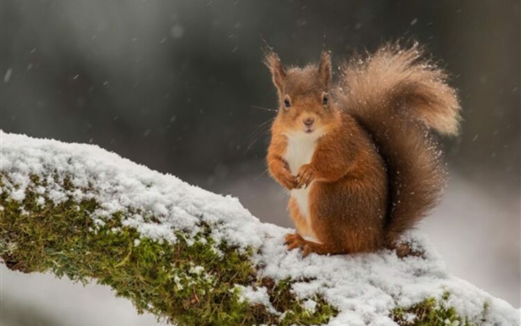 Затопляне, слънчево и ветровито