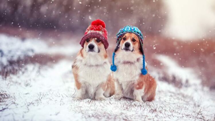 Променлива облачност в събота