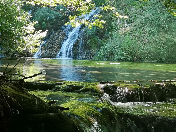 Признание: Читалището в Смилян с бронзов етикет за качество