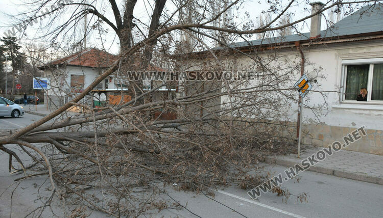 Жълт код за силен вятър в понеделник