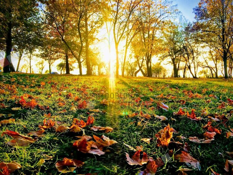 Сряда ще е слънчево, но студено