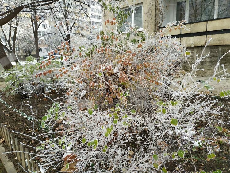 Денят в Кърджали започна с минусови температури,усещат се като минус 10 градуса