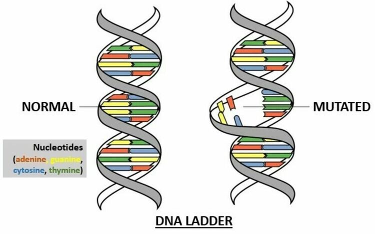 Нова научна работа твърди, че ДНК мутациите не са случайни и това взриви научния свят
