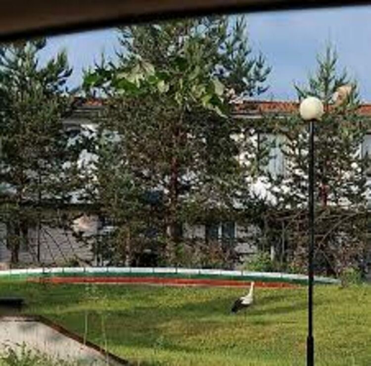 Изложба на един от водещите местни фотографи се открива в Перник