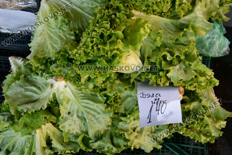 Краставиците стигнаха рекордна цена от 6.50 лв./кг в Хасково