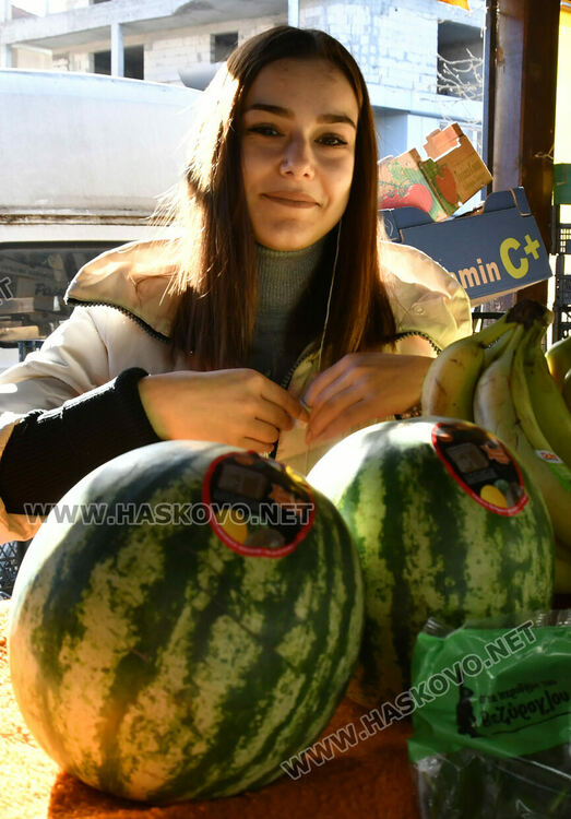 Краставиците стигнаха рекордна цена от 6.50 лв./кг в Хасково