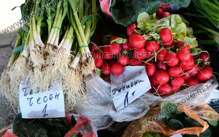 Краставиците стигнаха рекордна цена от 6.50 лв./кг в Хасково