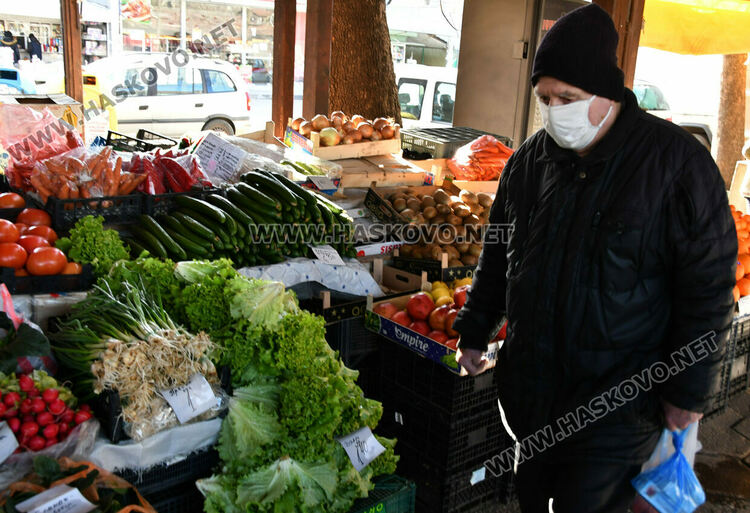 Краставиците стигнаха рекордна цена от 6.50 лв./кг в Хасково