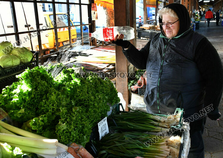 Краставиците стигнаха рекордна цена от 6.50 лв./кг в Хасково