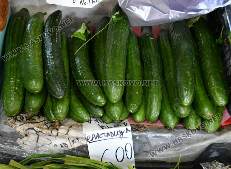 Краставиците стигнаха рекордна цена от 6.50 лв./кг в Хасково