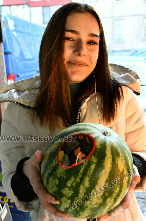 Краставиците стигнаха рекордна цена от 6.50 лв./кг в Хасково