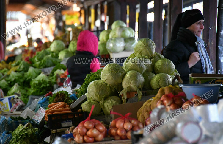 Краставиците стигнаха рекордна цена от 6.50 лв./кг в Хасково