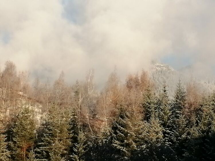 Облачно с валежи от сняг във вторник